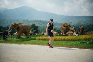 BIB: 
                            <button type="button" onclick="openModal(22435195)" class="btn btn-primary btn-sm float-right btn-popup" data-toggle="modal" data-target=".modal-high-quality">
                        <i class="fas fa-shopping-cart"></i> Add to Cart
                    </button>
                                            <button type="button" onclick="isThisMe(22435195, true)" class="btn btn-success btn-sm float-right btn-popup btn-isme hidden" data-toggle="tooltip" data-placement="bottom" title="นี่คือรูปของคุณใช่ไหม คลิกที่นี่เพื่อเอาเข้าอัลบั้ม">
                        <i class="fas fa-plus"></i> Add to album
                    </button>
                    <button type="button" onclick="isThisMe(22435195, false)" class="btn btn-warning btn-sm float-right btn-popup btn-isnotme hidden">
                        <i class="fas fa-ban"></i> Remove from album
                    </button>